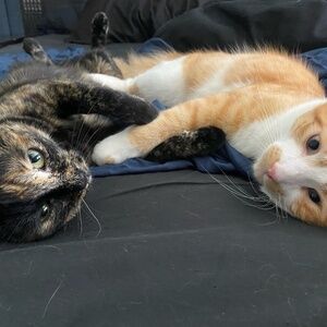 Meet your Posher, Shawn